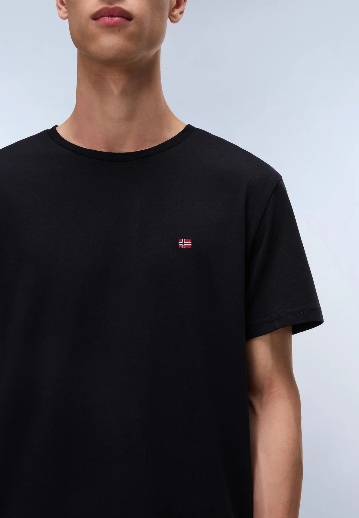 Napapijri · T-shirt Salis Sum uomo