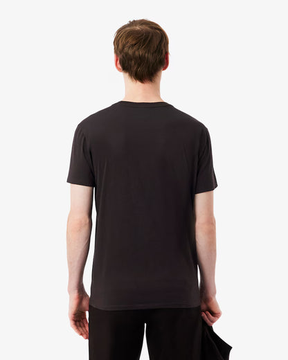 Lacoste · T-shirt uomo cotone pima marrone